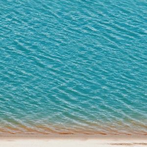 Meet your Posher, Morris